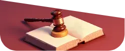 jurisdiction-levy-image